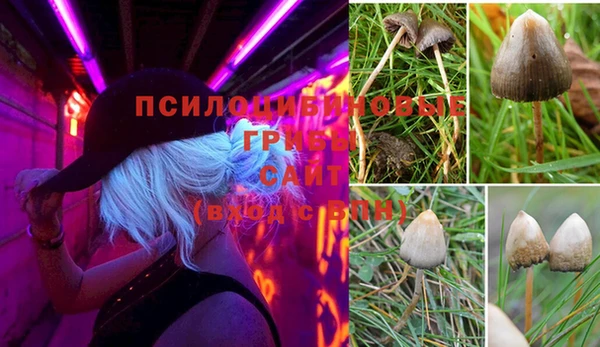 дживик Алексин