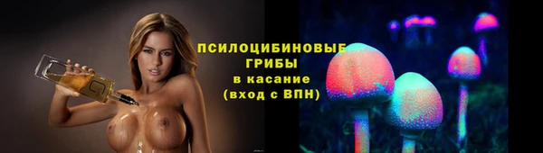 дживик Алексин